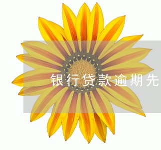 银行贷款逾期先还什么影响 银行贷款逾期先还什么影响