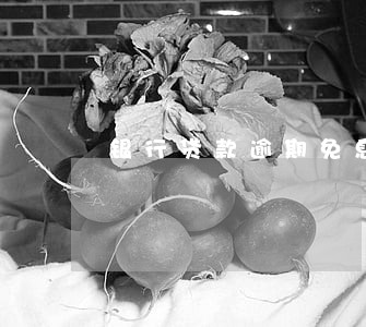 银行贷款逾期免息申请书 银行贷款逾期免息申请书