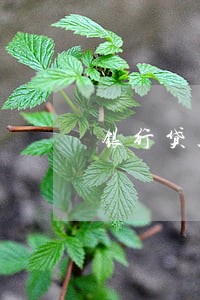 银行贷款逾期八年
