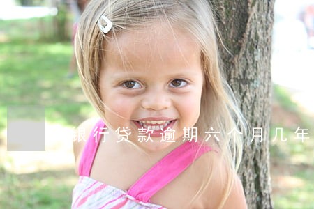 银行贷款逾期六个月几年清零 银行贷款逾期六个月几年清零