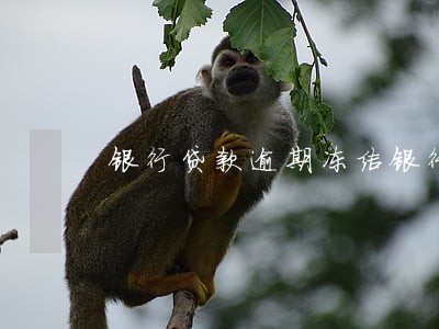 银行贷款逾期冻结银行卡 银行贷款逾期冻结银行卡