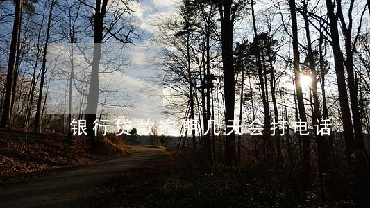 银行贷款逾期几天会打电话 银行贷款逾期几天会打电话