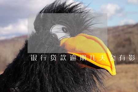 银行贷款逾期几天会有影响吗 银行贷款逾期几天会有影响吗