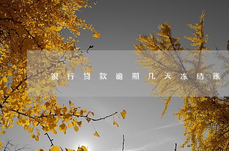 银行贷款逾期几天冻结账户 银行贷款逾期几天冻结账户