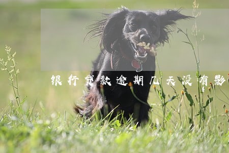 银行贷款逾期几天没有影响 银行贷款逾期几天没有影响