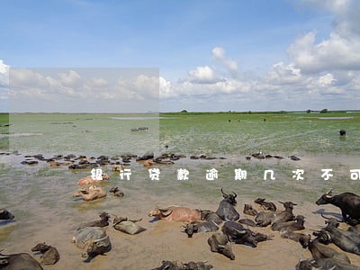 银行贷款逾期几次不可以 银行贷款逾期几次不可以