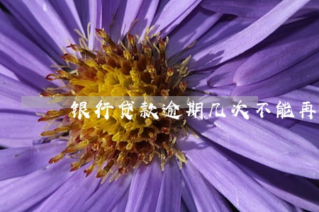 银行贷款逾期几次不能再贷款