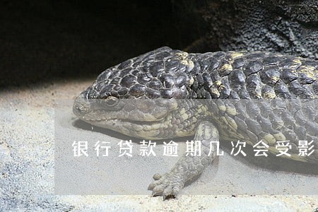 银行贷款逾期几次会受影响 银行贷款逾期几次会受影响
