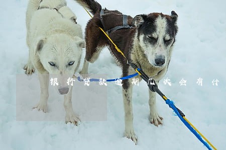 银行贷款逾期几次会有什么后果 银行贷款逾期几次会有什么后果