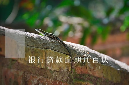 银行贷款逾期几百块 银行贷款逾期几百块