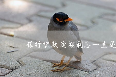 银行贷款逾期利息一直还 银行贷款逾期利息一直还