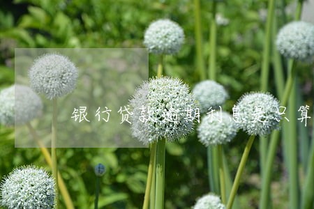 银行贷款逾期利息是只算本金 银行贷款逾期利息是只算本金