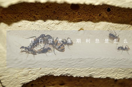 银行贷款逾期利息是怎么算的 银行贷款逾期利息是怎么算的
