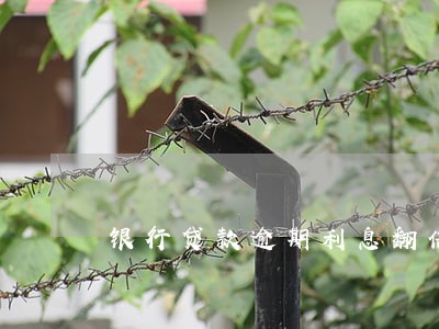 银行贷款逾期利息翻倍