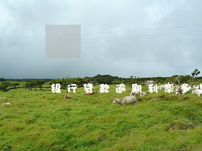 银行贷款逾期利率多少利 银行贷款逾期利率多少利