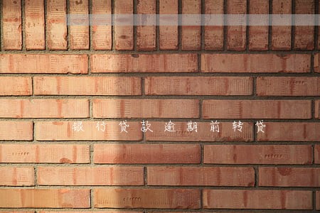银行贷款逾期前转贷 银行贷款逾期前转贷