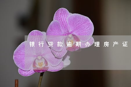 银行贷款逾期办理房产证 银行贷款逾期办理房产证