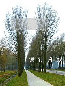 银行贷款逾期十个月 银行贷款逾期十个月