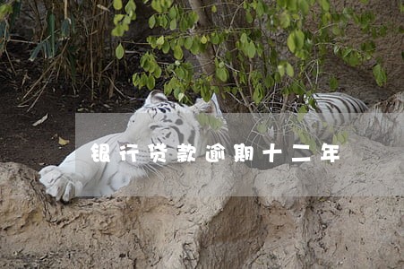 银行贷款逾期十二年 银行贷款逾期十二年