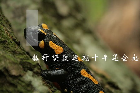 银行贷款逾期十年还会起诉吗 银行贷款逾期十年还会起诉吗