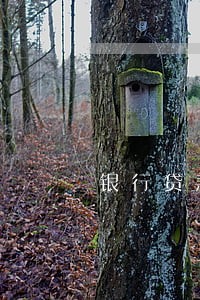 银行贷款逾期半小时打款行吗 银行贷款逾期半小时打款行吗