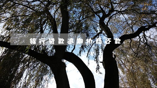 银行贷款逾期协商还款 银行贷款逾期协商还款
