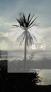 银行贷款逾期协议还款 银行贷款逾期协议还款