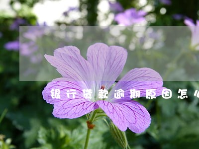 银行贷款逾期原因怎么写 银行贷款逾期原因怎么写
