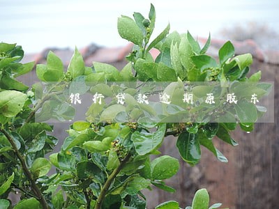 银行贷款逾期原股东