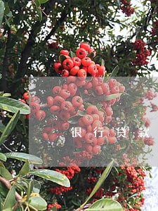 银行贷款逾期叫去签字 银行贷款逾期叫去签字