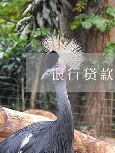 银行贷款逾期可以二次起诉吗
