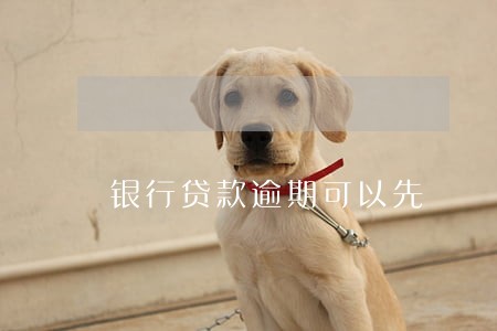 银行贷款逾期可以先 银行贷款逾期可以先
