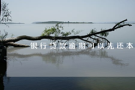 银行贷款逾期可以先还本金么 银行贷款逾期可以先还本金么
