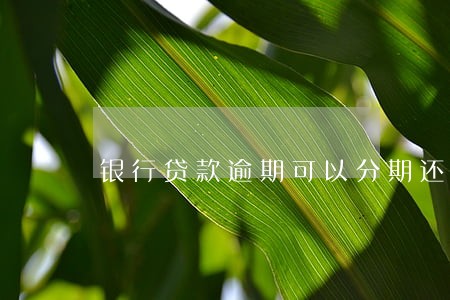 银行贷款逾期可以分期还款吗 银行贷款逾期可以分期还款吗