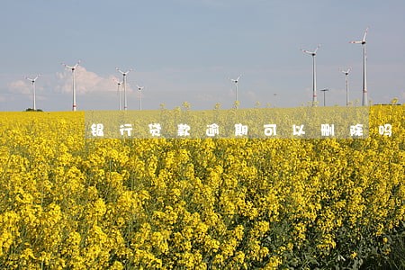 银行贷款逾期可以删除吗