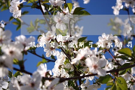 银行贷款逾期可以取消罚金吗 银行贷款逾期可以取消罚金吗