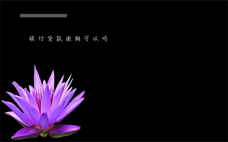 银行贷款逾期可以吗 银行贷款逾期可以吗