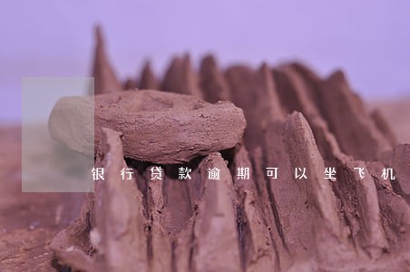 银行贷款逾期可以坐飞机吗 银行贷款逾期可以坐飞机吗