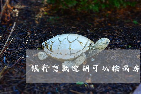 银行贷款逾期可以按揭房子吗 银行贷款逾期可以按揭房子吗