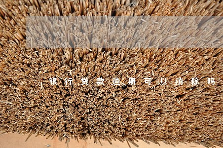 银行贷款逾期可以消除吗 银行贷款逾期可以消除吗