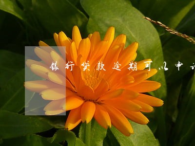 银行贷款逾期可以申请减免吗 银行贷款逾期可以申请减免吗