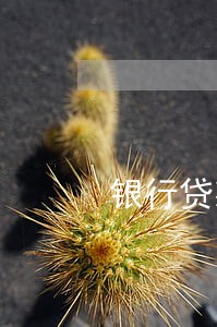 银行贷款逾期可以申述 银行贷款逾期可以申述