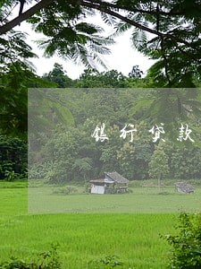 银行贷款逾期可以返还吗 银行贷款逾期可以返还吗