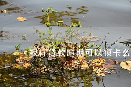 银行贷款逾期可以锁卡么 银行贷款逾期可以锁卡么