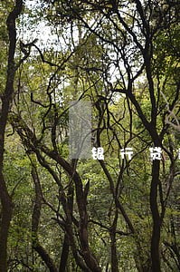 银行贷款逾期可否调贷 银行贷款逾期可否调贷