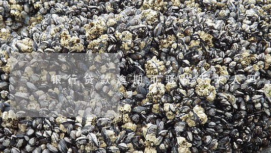 银行贷款逾期可骚扰无关人吗 银行贷款逾期可骚扰无关人吗