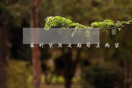 银行贷款逾期司法拘留 银行贷款逾期司法拘留