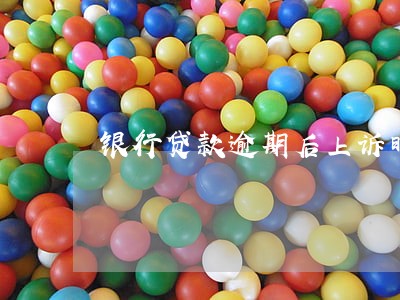 银行贷款逾期后上诉时间 银行贷款逾期后上诉时间
