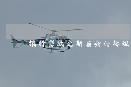 银行贷款逾期后会计处理 银行贷款逾期后会计处理