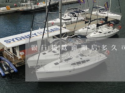 银行贷款逾期后多久可以贷款 银行贷款逾期后多久可以贷款